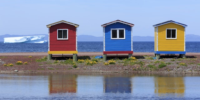Newfoundland-0
