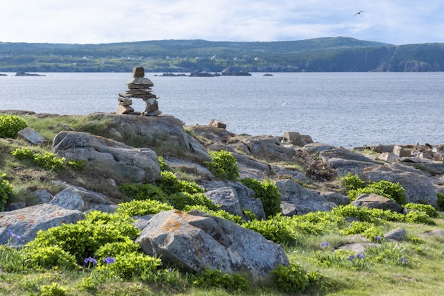 Newfoundland-3
