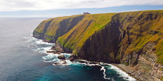 Newfoundland-1