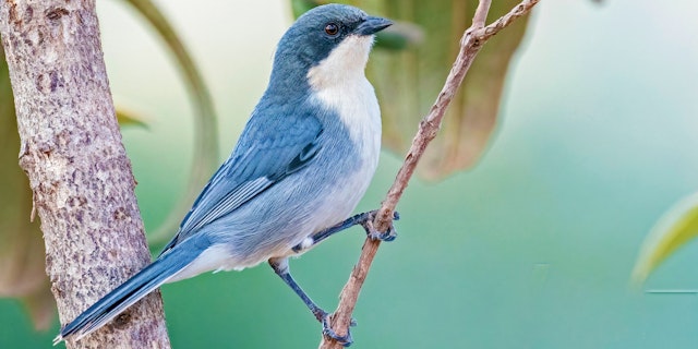 Alto Paraíso de Goiás-3