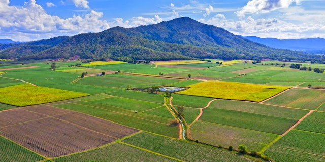 Mackay-4
