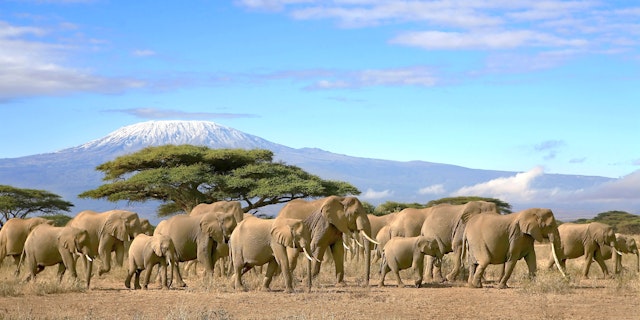 Kenia Rundreise 2 Wochen