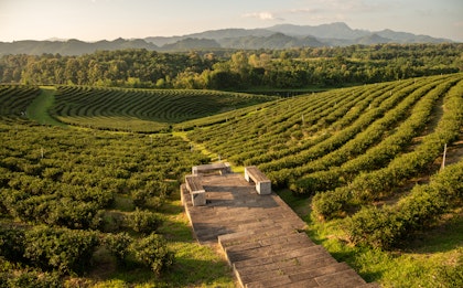 Voyage en Thaïlande de 3 semaines - Image 3
