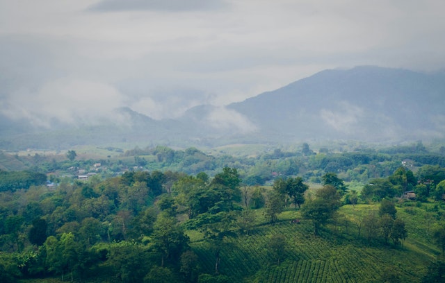 Chiang Rai-1