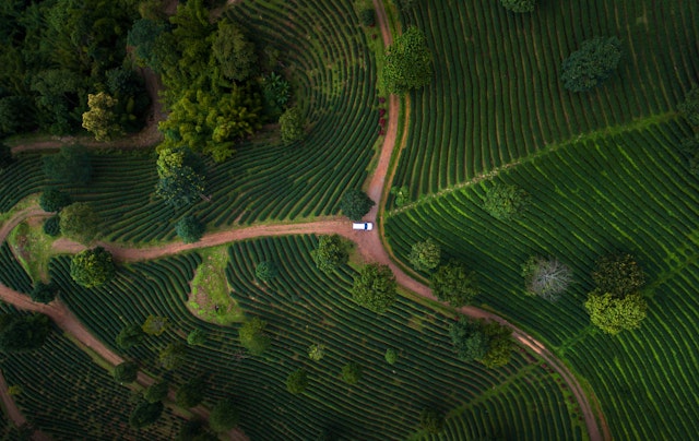 Chiang Rai-5