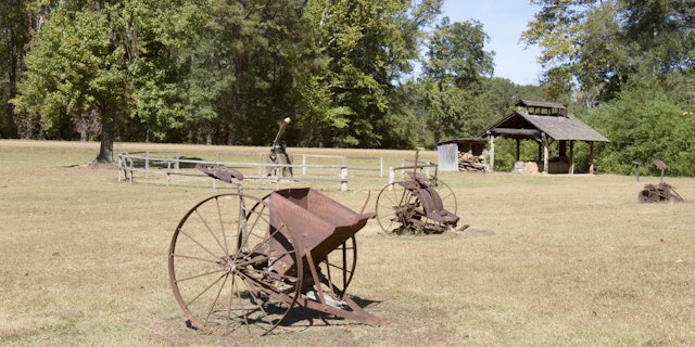 Natchez-1