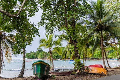 Costa Rica Dschungel Safari - Image 3