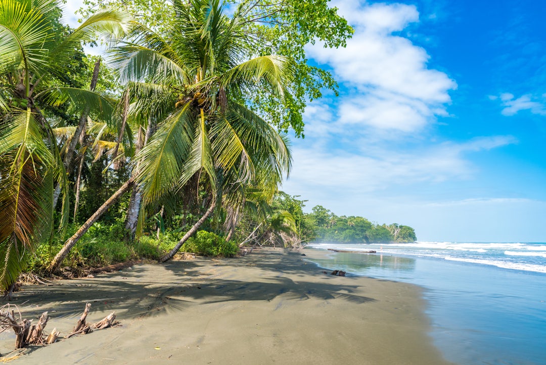 Panama Karibikküste und Costa Rica Reise