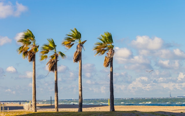 Corpus Christi-1