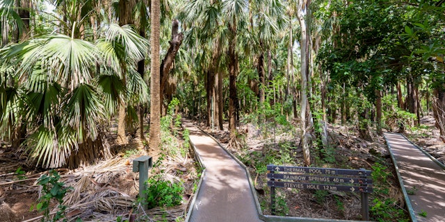 Mataranka-4