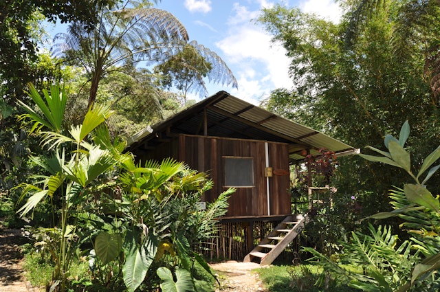 Hakuna Matata Amazon Lodge