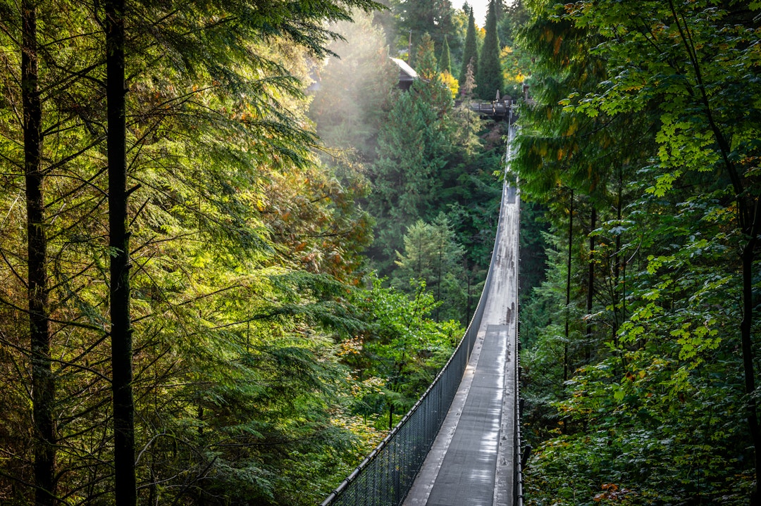 Mietwagenrundreise ab Vancouver: Rockies und Regenwald