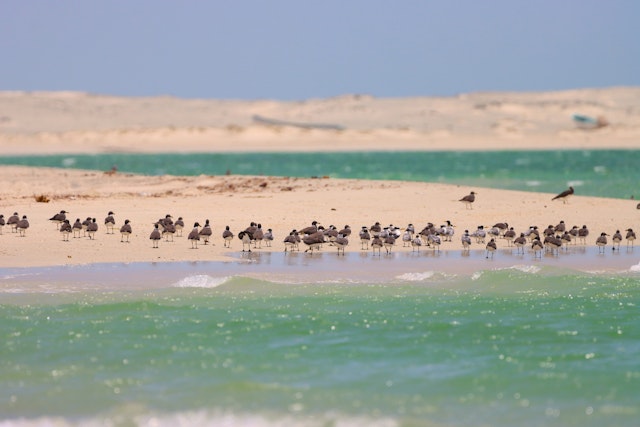 Masira Island-5