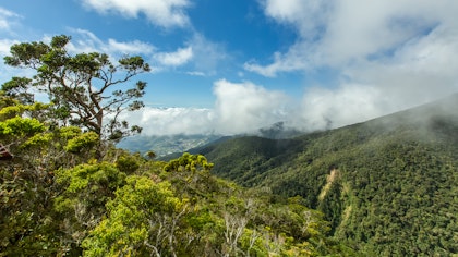 14 Tage Luxusurlaub im Ferienparadies Malaysia - Image 4