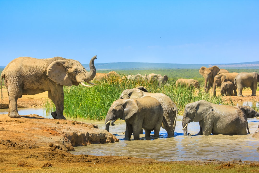 2 Wochen Südafrika Familienurlaub