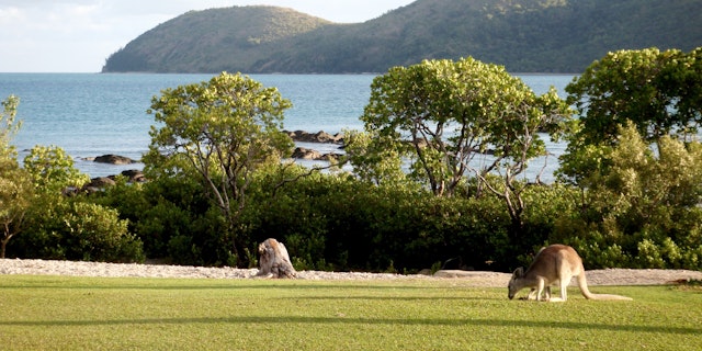Daydream Island-2