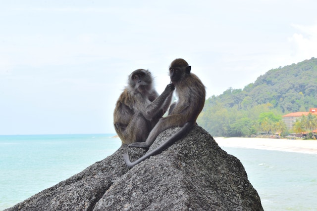 Kuantan-3