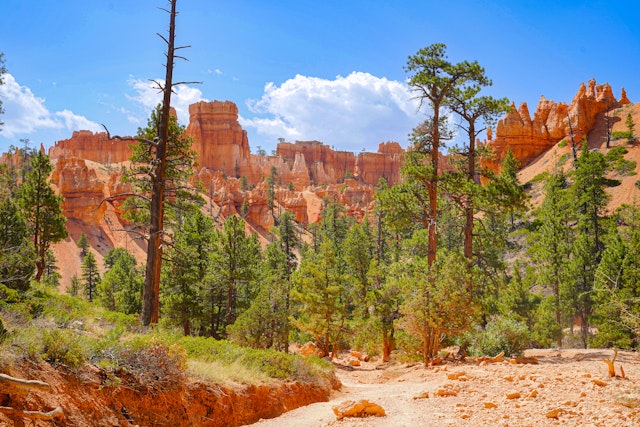 Bryce Canyon National Park-4