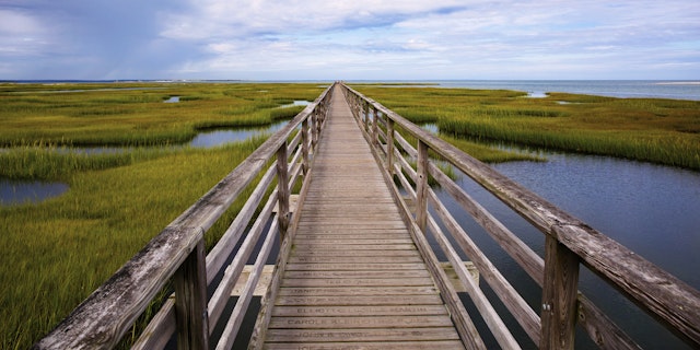 Cape Cod-3