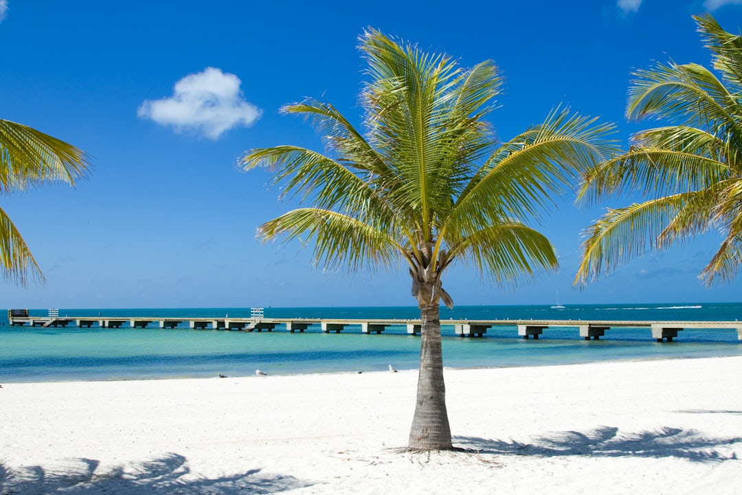 Florida Kurztrip: Abenteuer zwischen Meer und Sonne