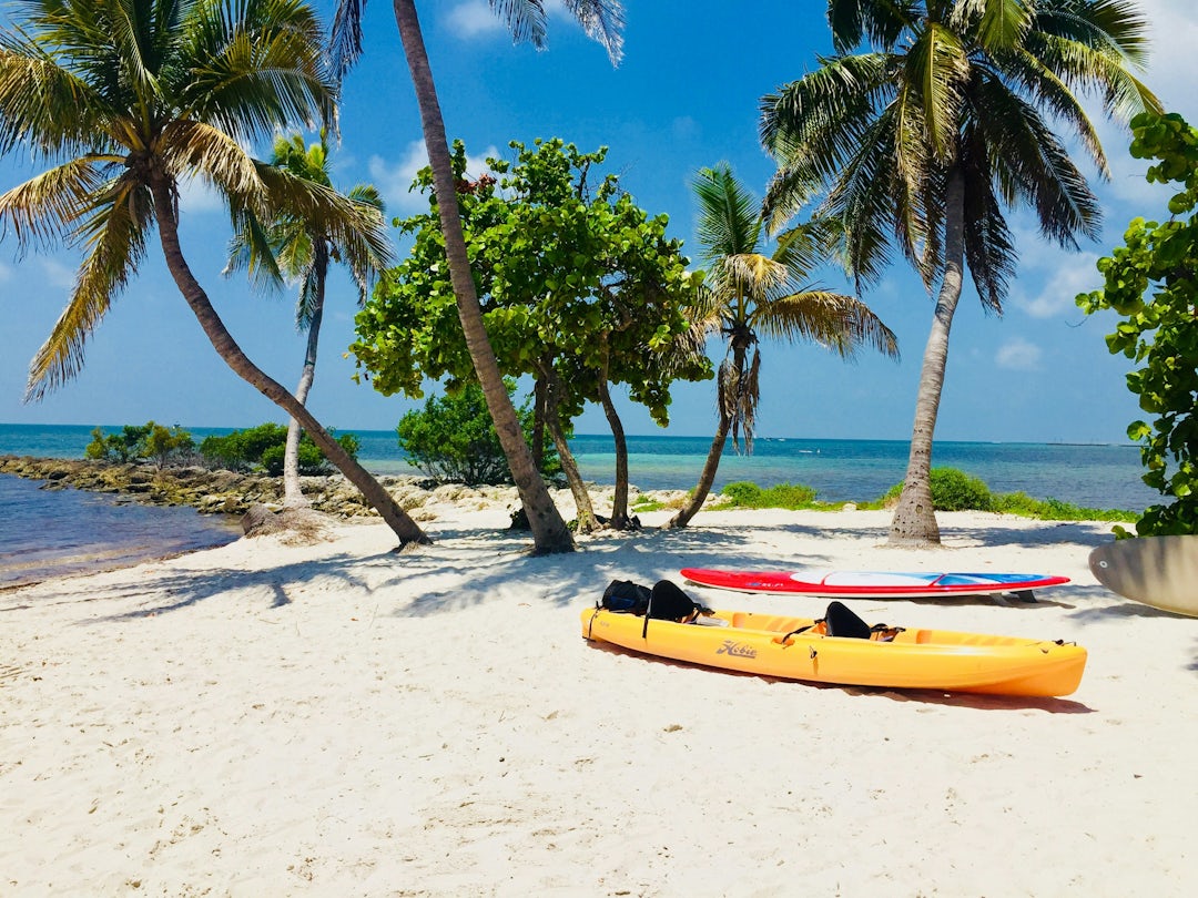 Florida Kurztrip: Abenteuer zwischen Meer und Sonne