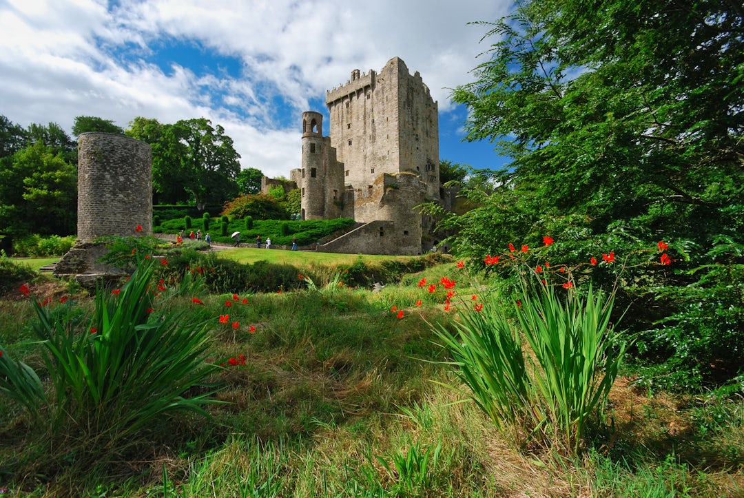 Irland-Roadtrip: 7 Tage mit dem Auto