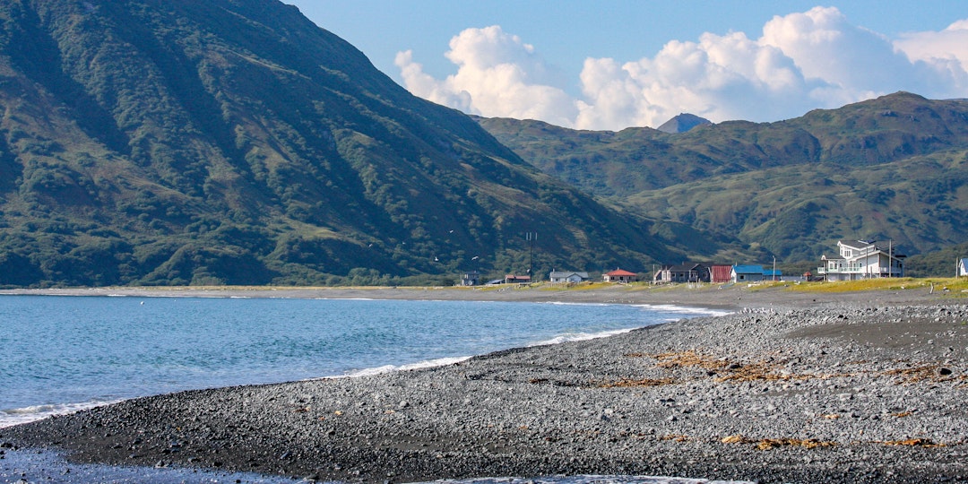 Alaska Urlaub: Bärenabenteuer