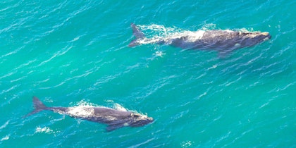 Circuit en Afrique du Sud sur 10 jours - Image 4