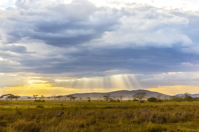 Central Serengeti-0