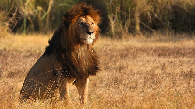 Central Serengeti-2