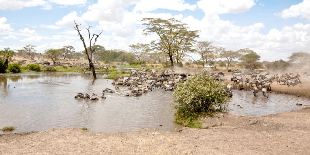 Serengeti Urlaub Abenteuer