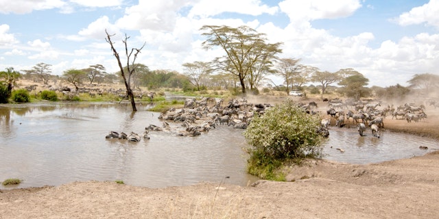 Central Serengeti-0