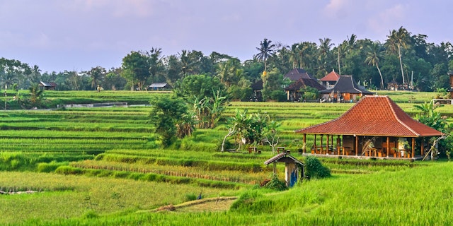 Petulu-2