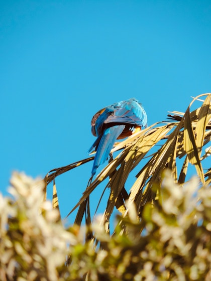 Voyage au Brésil en famille - Image 4