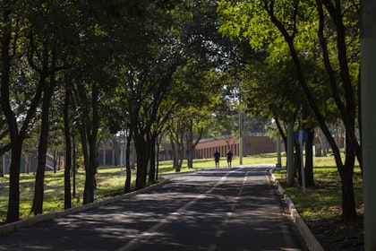 Brasilien Rundreise 2 Wochen: Wasserfälle und Südpantanal - Image 3