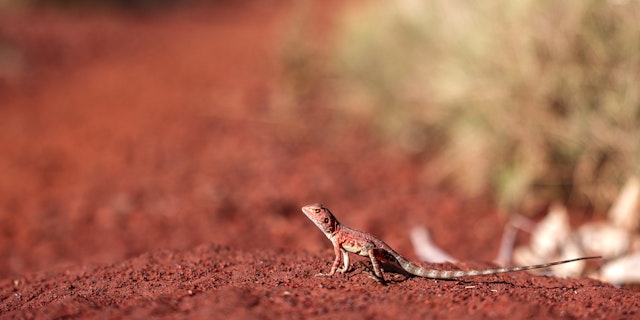 Karijini National Park-4