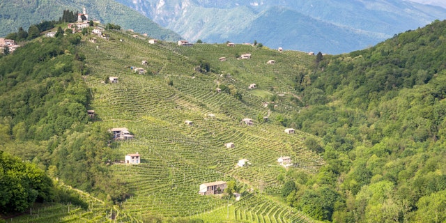 Province of Treviso-5
