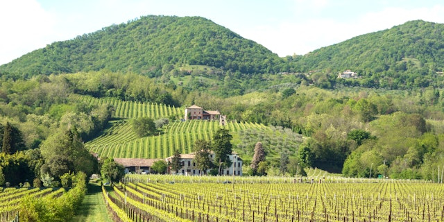 Province of Treviso-1