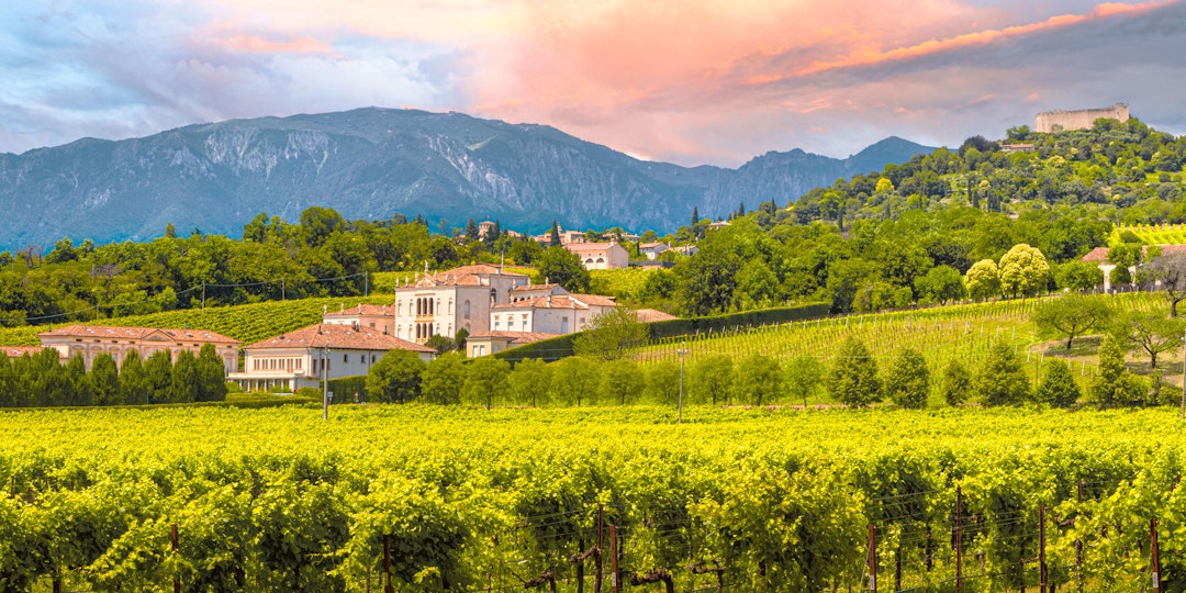 Road trip Italie du nord sur 1 semaine : vignes et paysages