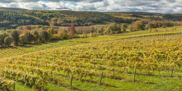 Wolfville-3