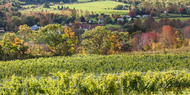 Wolfville-4