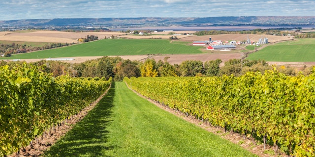 Wolfville-5