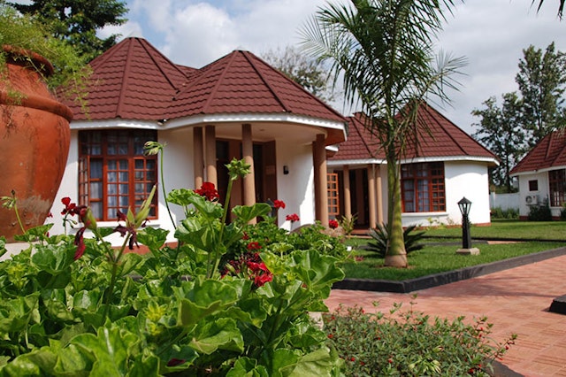 Salinero Kilimanjaro