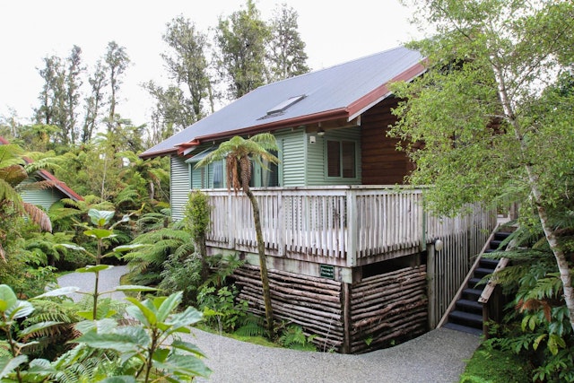 Rainforest Retreat