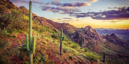 Drei Wochen durch den Südwesten USA – von Nationalparks bis Metropolen - Image 4