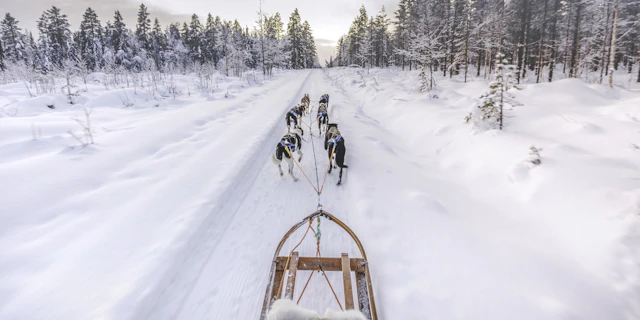 Lapland-6