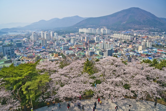Busan-4