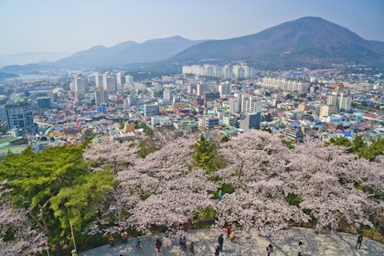 3 Wochen Südkorea Rundreise mit Palästen, Tempeln & Natur - Image 4