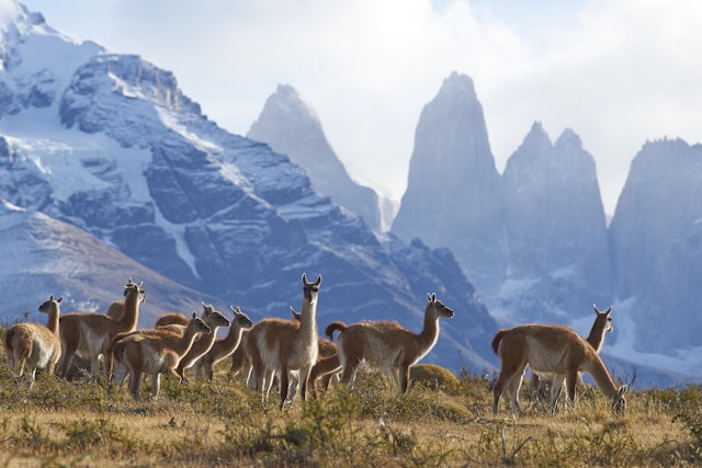 Torres del Paine National Park-1