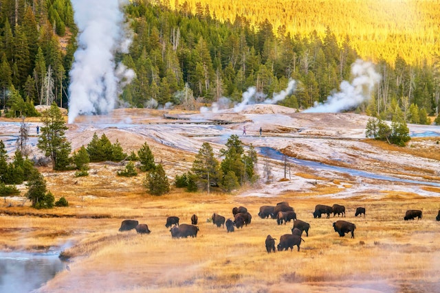West Yellowstone-0